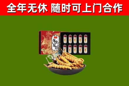 固原回收冬虫夏草价格